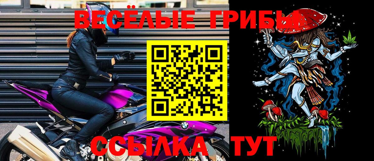 Фрязино  Галлюциногенные грибы мицелий  Вход с VPN  Галлюциногенные грибы Psilocybe 