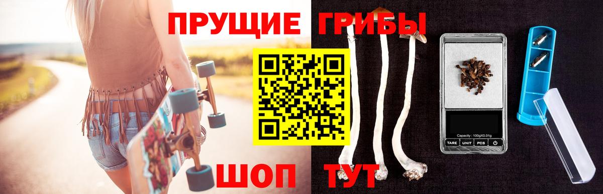 Псилоцибиновые грибы Psilocybe Фрязино